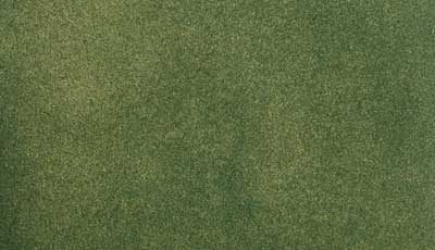 Ready Grass - Roll Mat - Green Grass Large 50 x 100in