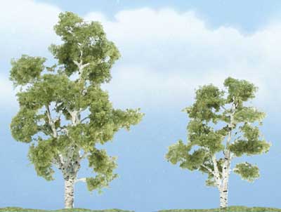 Trees - Premium Sycamore