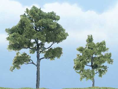 Trees - Premium Locust