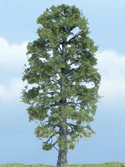 Trees - Premium Basswood
