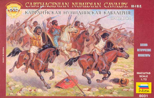 Ancient Carthaginian Numibian Cavalry