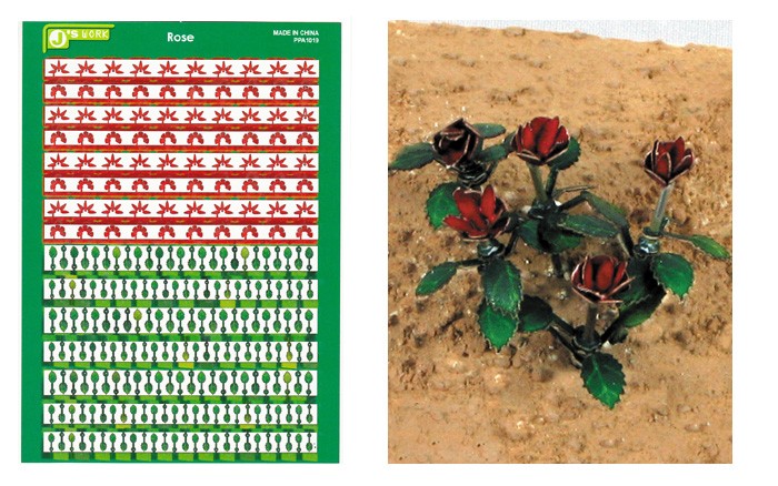 Multi-Scale Rose Plants (Colored Paper)