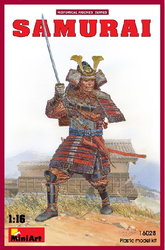 Samurai Warrior