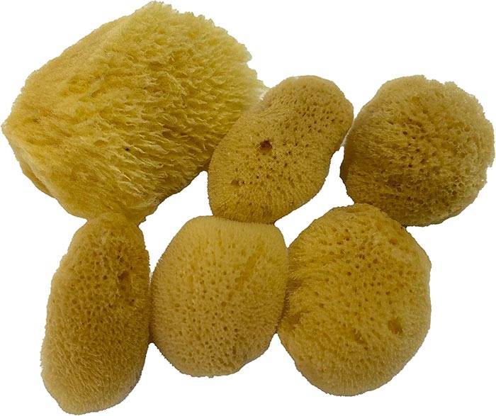 Natural Silk Weathering Sponges Sponges
