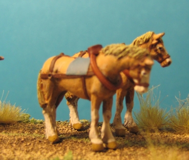 Team of Heavy Draft Horses - Standing