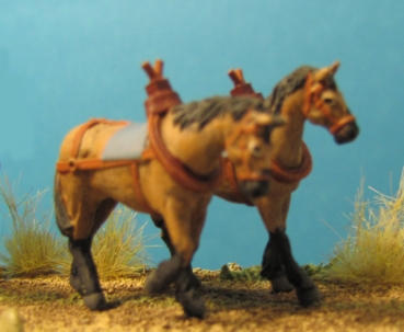 Team of Heavy Draft Horses - Walking