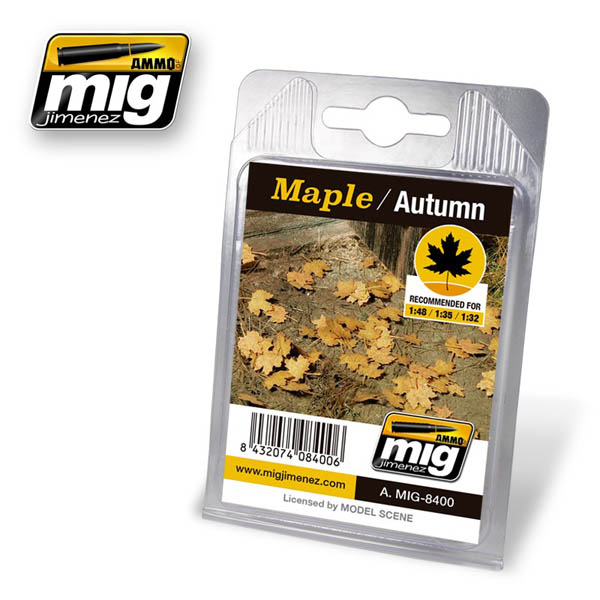 Maple - Autumn