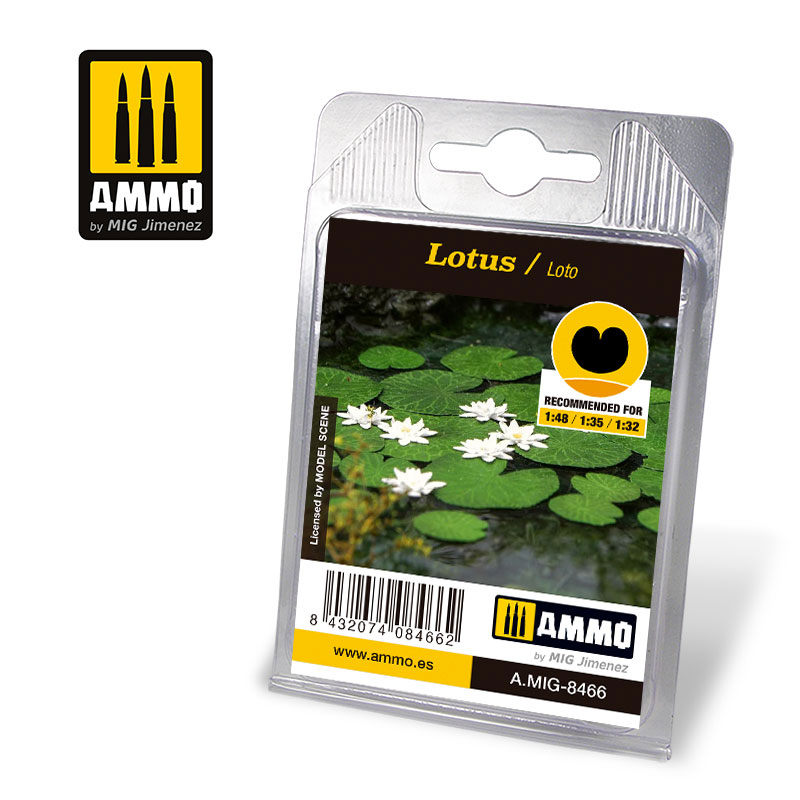 Lotus Plants