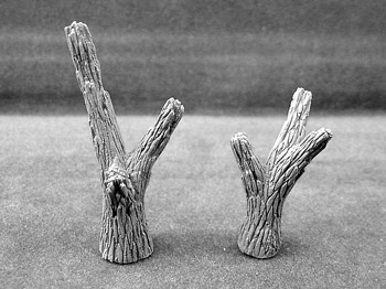 2 Small Trees
