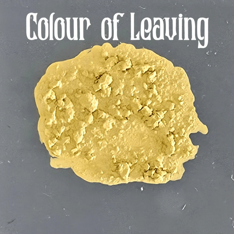 Bear Cavalry Paint Color of Leaving Texture Paint 2 oz