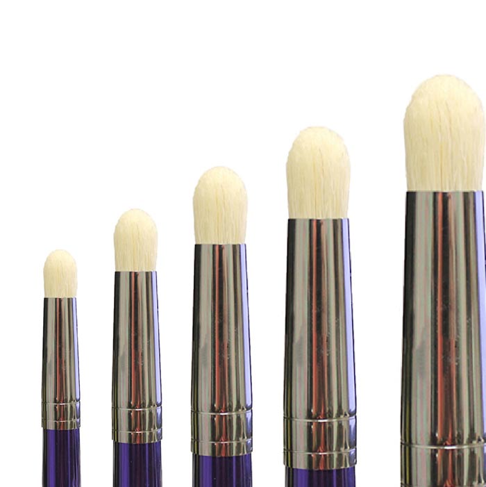 Royal & Langnickel Drybrushing Set