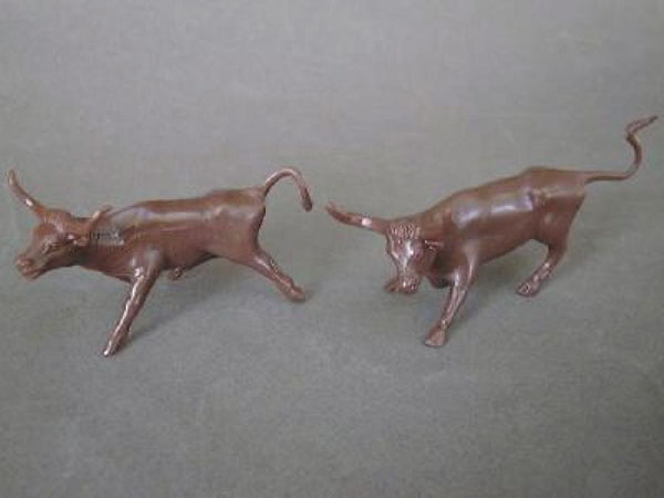 Long Horn Steers