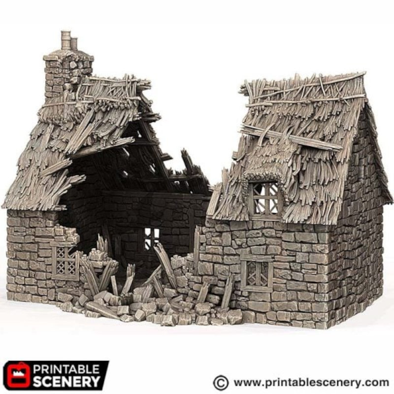 Ruined Country Manor - King and Country - Printable Scenery