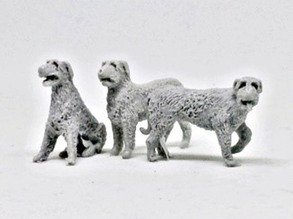 Irish Wolfhound