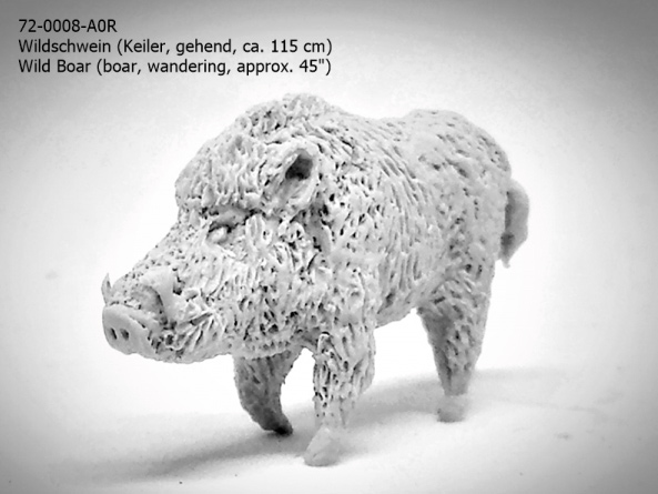 Wild Boar - Male