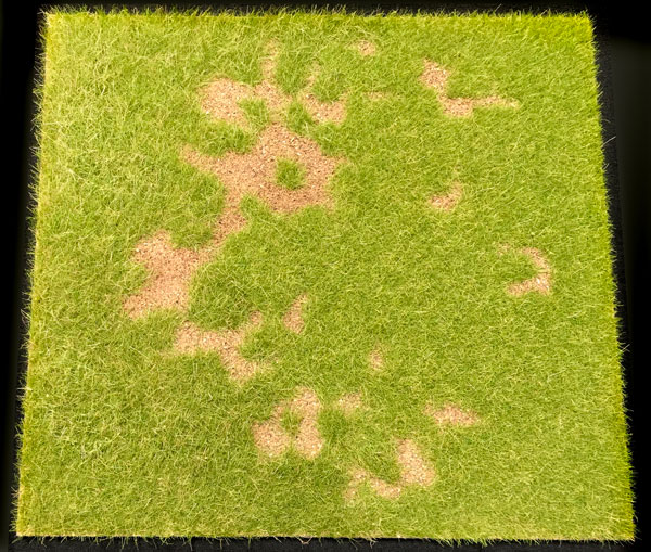 12in x 12in Grass Lawn Transforming to Field Scenic Base