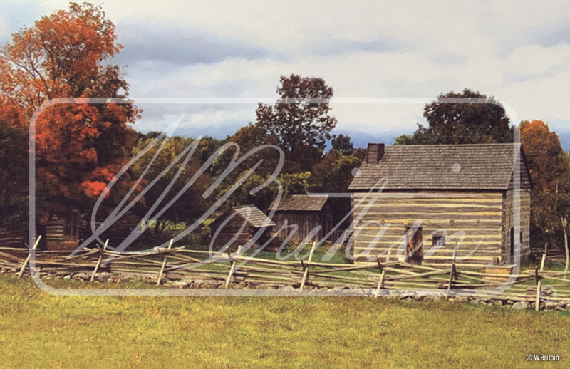 Bucolic Farm and Field