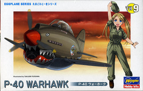 P-40 Warhawk Egg Plane