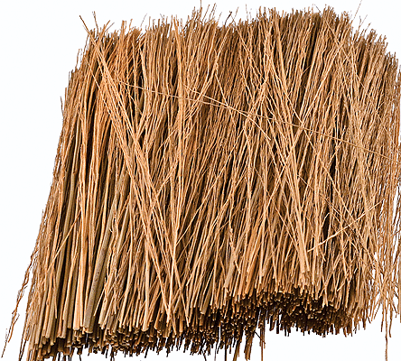 Field Grass Golden Brown