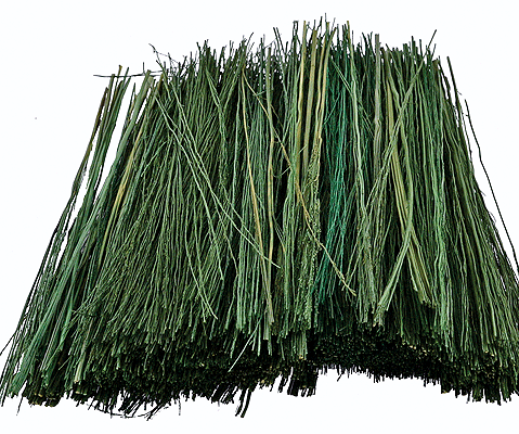 Field Grass Dark Green