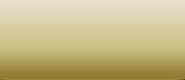 LifeColor Road Dust Liquid Pigment for LP3 Rain & Dust (22ml Bottle)