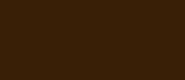 LifeColor Brown (22ml) FS 30051