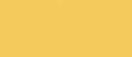 LifeColor Earth Yellow (22ml) FS 30257