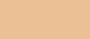 LifeColor Light Brown (22ml)
