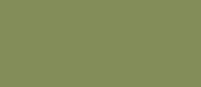 LifeColor Verde Telo Mimetico (22ml)