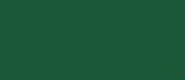 LifeColor Olivgrun rlm 80 (22ml) - ONLY 1 AVAILABLE AT THIS PRICE
