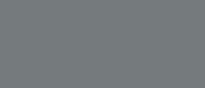 LifeColor Dark Grey (22ml)