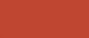 LifeColor Red Brick (22ml)