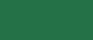 LifeColor Dark Green (22ml)