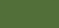 LifeColor Dark Olive (22ml) FS 34102