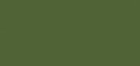 LifeColor Dark Olive Var. (22ml) FS 34096