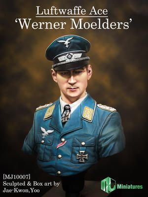 Luftwaffe Ace, Werner Moelders