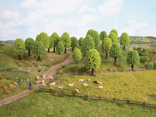 Deciduous Trees - 1-3/8 - 2in