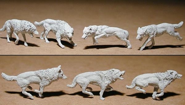 Running and Hunting Wolves