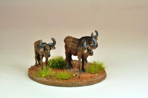 North Star Africa - Gnu / Wildebeast (5)