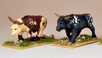 North Star Africa - Oxen (2)