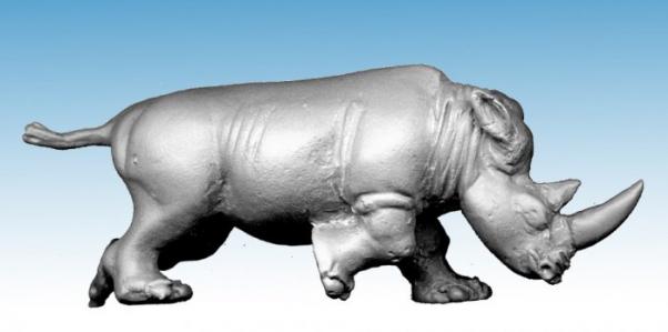 North Star Africa - Charging Rhino (1)