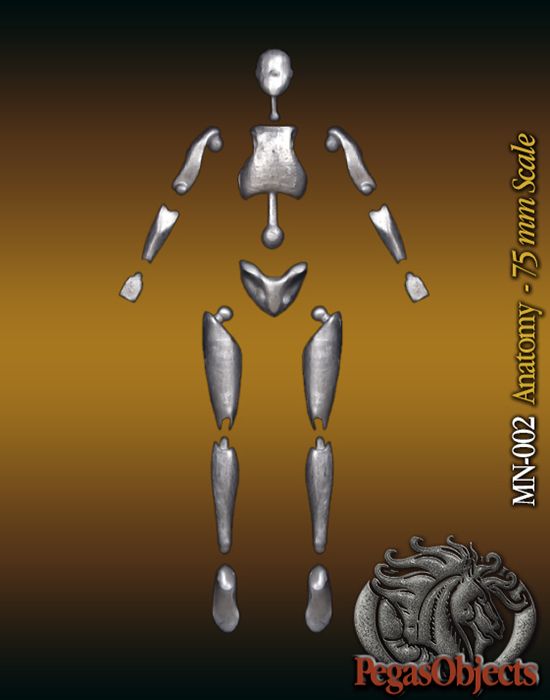 Anatomy figure 75mm