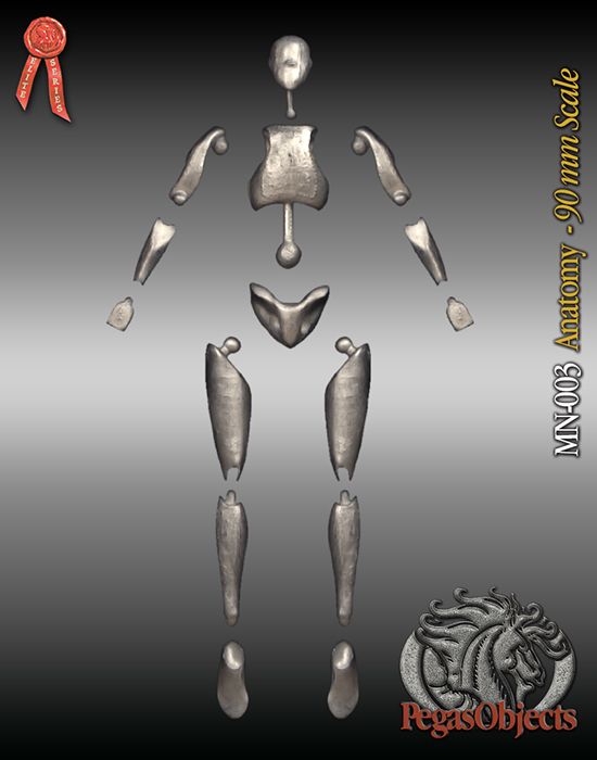 Anatomy figure 90mm