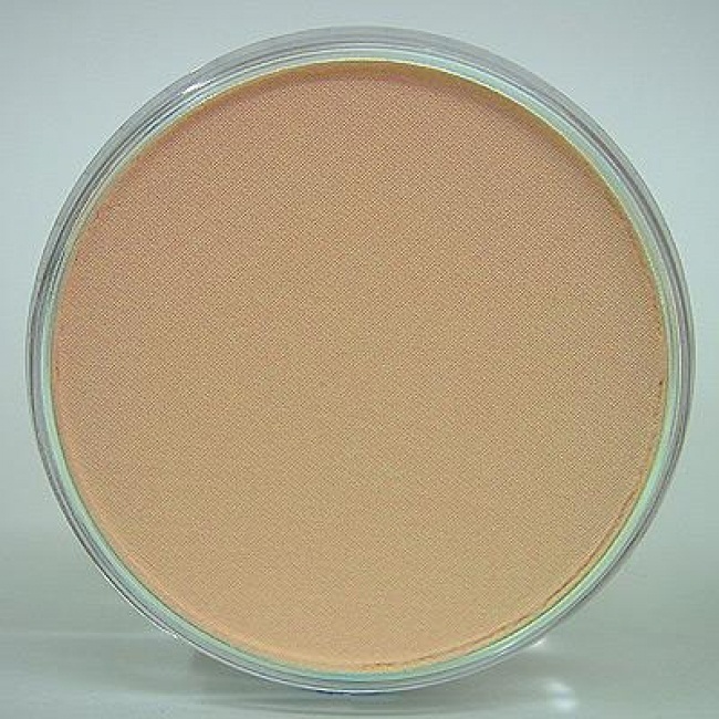 Model & Miniature Color: Burnt Sienna Tint 9ml pan