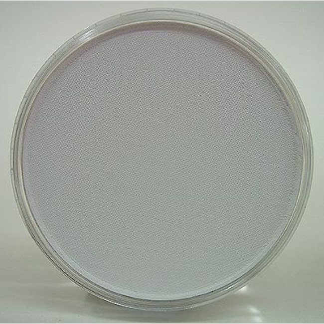 Model & Miniature Color: Paynes Grey Tint 9ml pan