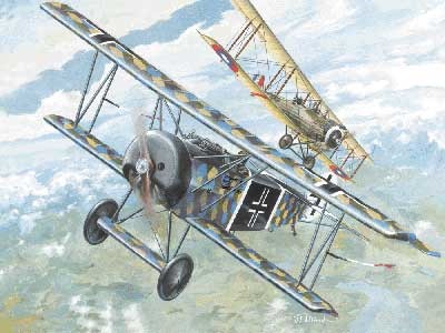 Fokker D VI BiPlane