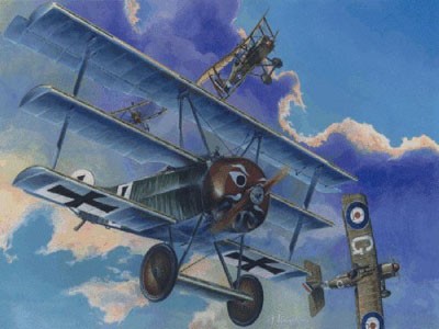 Fokker FI BiPlane