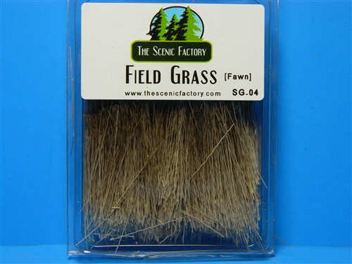 Field Grass - Autumn