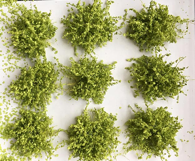 Shrub Tufts Spring Green (20mm)