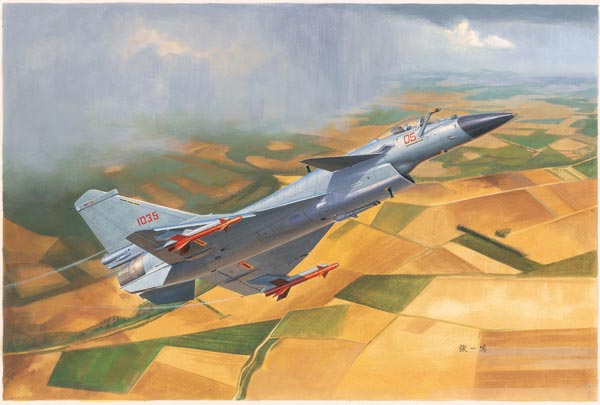 Chinese J-10B Fighter
